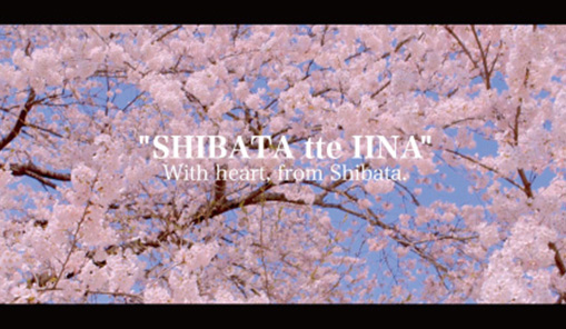 SHIBATA tte IINA