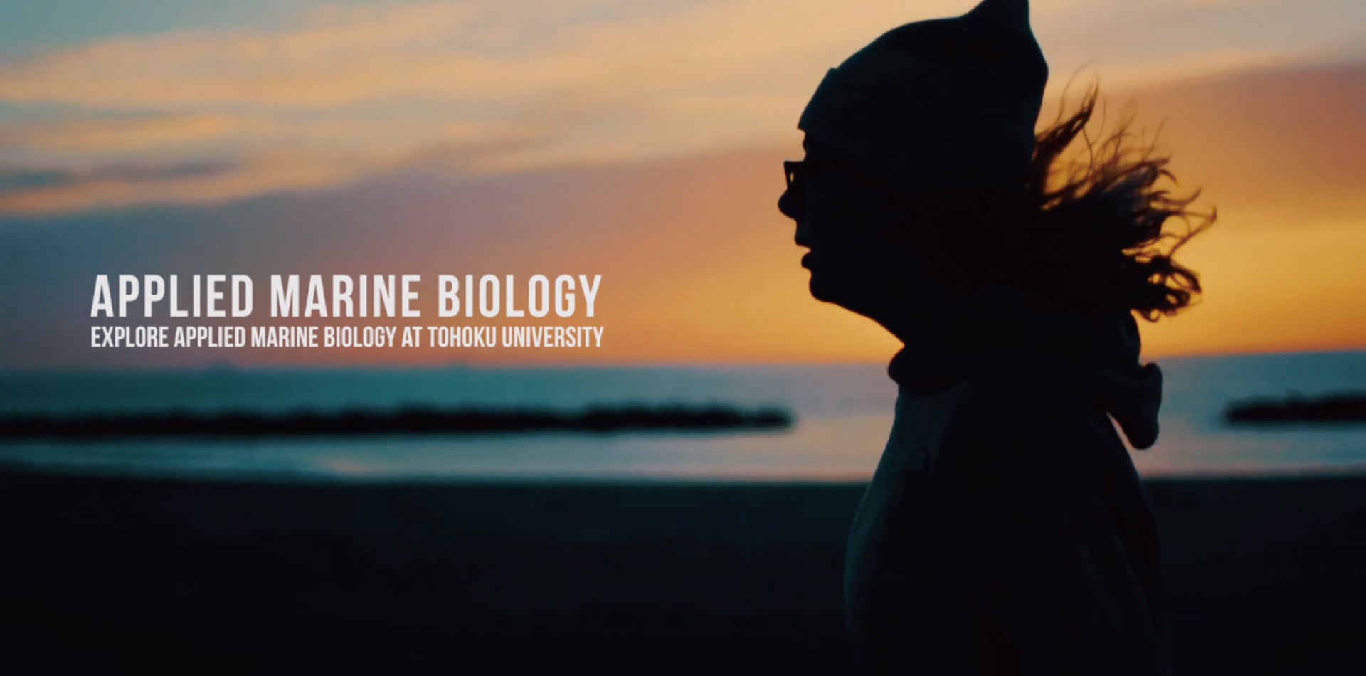 東北大學 Applied Marine Biology (AMB)